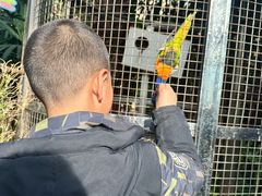 -大连森林动物园