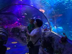 -沈阳海洋探索中心