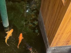 -上海大自然野生昆虫馆(东方明珠·爬宠昆虫探索中心)