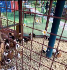 -萌宠亲子动物乐园(槐房万达店)