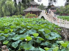 -莲池书院博物馆