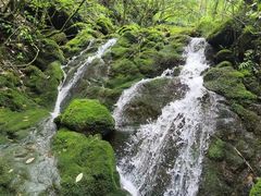 -神农架景区