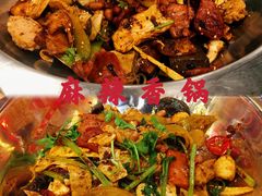 -愉肴麻辣香锅(中北镇店)
