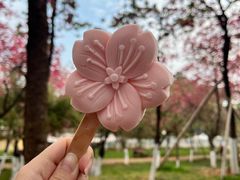 -昆明动物园