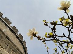 景点-居庸关长城