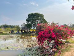 -中国科学院西双版纳热带植物园