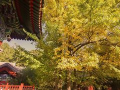 -香山公园