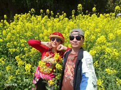 -浦星公路-路侧停车位