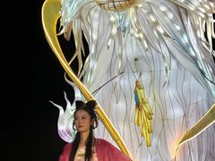 -淄博花灯齐彩城