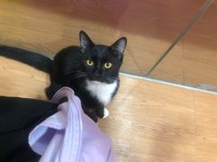 -荔康动物医院(康王北路店)