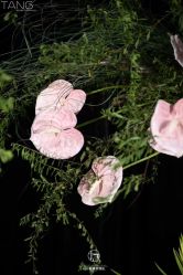 -凯宾斯基饭店·宴会厅