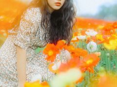 -秀丽东方