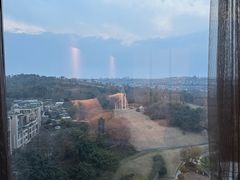 -成都保利公园皇冠假日酒店(熊猫基地店)