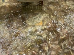 -盒马鲜生(联投广场店)