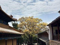 -普陀山风景名胜区-法雨禅寺