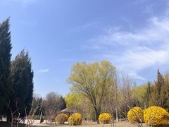 -东升八家郊野公园