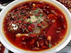 毛血旺-庆合府重庆大排档(紫都城店)