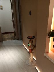 -丽都整形美容医院·全国连锁旗舰店