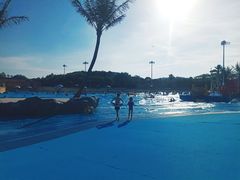 -上海玛雅海滩水公园