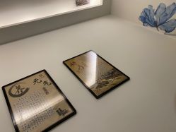 -DEM缔怡美科技美容