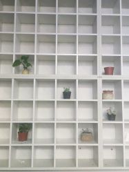-吉米护肤造型
