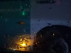 -大亚湾红树林城市湿地公园