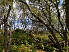 -白草畔自然风景区