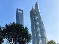 -陆家嘴中心绿地