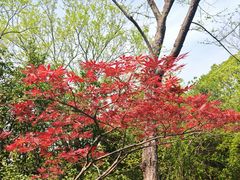 -长广溪湿地公园