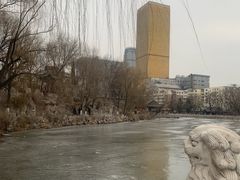 -文瀛公园