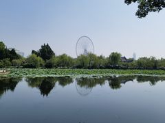 -无锡蠡湖国家湿地公园-蠡园