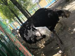 -武汉紫薇都市田园