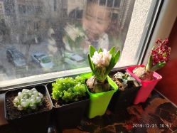 -天津市儿童医院(河西马场院区)