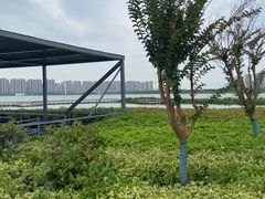 -启东黄金海滩景区