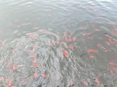 -西宁市人民公园(城西区)