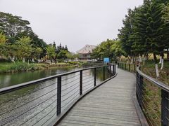 -映月湖公园