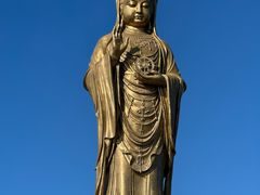 -普陀山雷迪森庄园