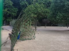 -杭州野生动物世界
