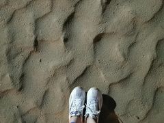 -椰风寨