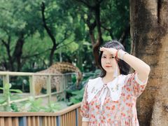 -深圳野生动物园
