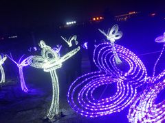 -长春公园(普阳街道)