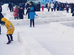 -紫竹院公园冰场
