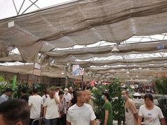 -秦美花卉(天朗·莱茵小城2期店)