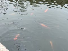 -揭阳学宫(榕城区)