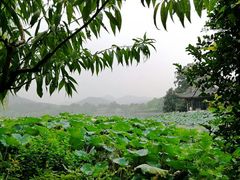 -西湖游船