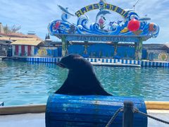 -海南分界洲岛旅游区