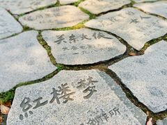 -同里国家湿地公园