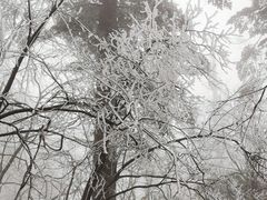 -CrossFitTianfu综合训练馆