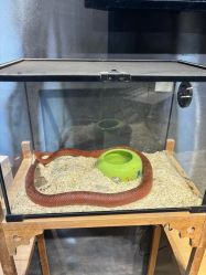 -酷嗒动物文化乐园(cutezoo西溪乐天城店)