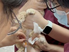 -美联众合动物医院·24h京西诊疗中心